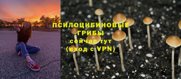 таблы Алексеевка